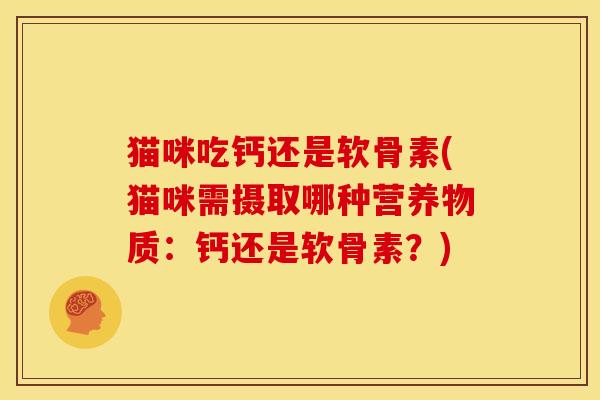 猫咪吃钙还是软骨素(猫咪需摄取哪种营养物质：钙还是软骨素？)