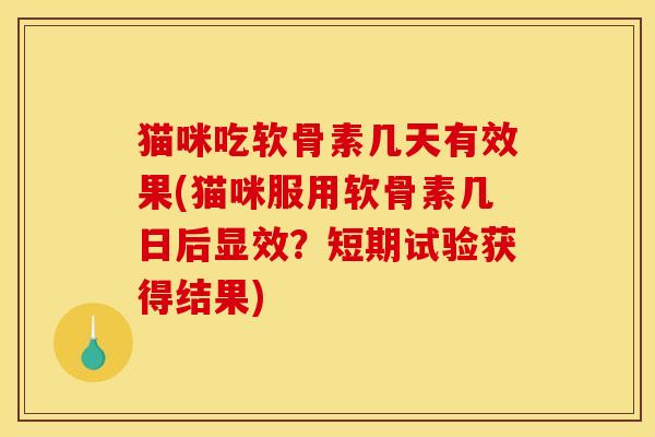 猫咪吃软骨素几天有效果(猫咪服用软骨素几日后显效?短期试验获得结果) 猫咪吃软骨素几天有效果(猫咪服用软骨素几日后显效?短期试验获得结果)