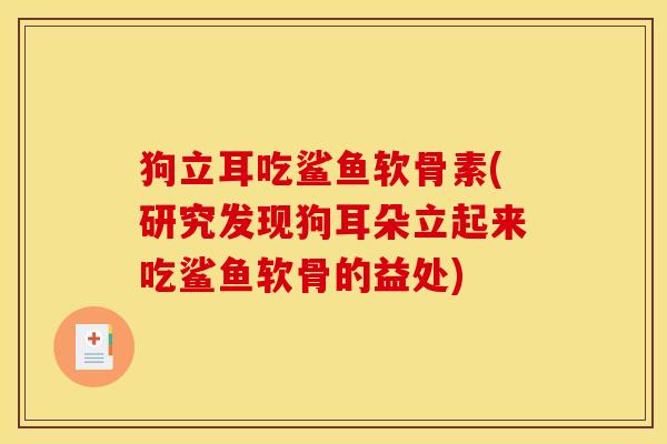 狗立耳吃鲨鱼软骨素(研究发现狗耳朵立起来吃鲨鱼软骨的益处)