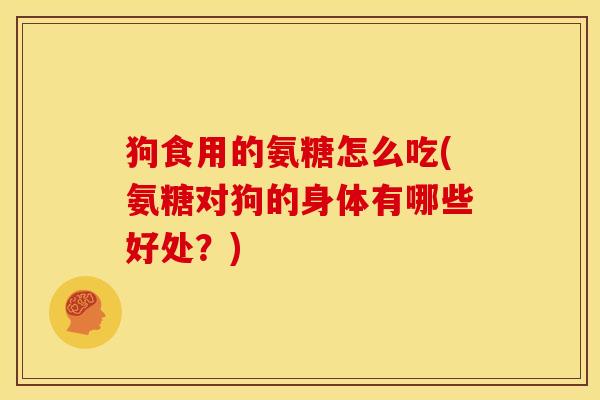 狗食用的氨糖怎么吃(氨糖对狗的身体有哪些好处？)