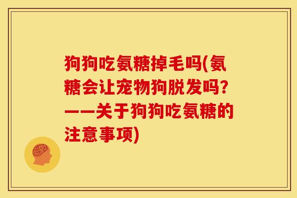 狗狗吃氨糖掉毛吗(氨糖会让宠物狗吗?——关于狗狗吃氨糖的注意事项) 狗狗吃氨糖掉毛吗(氨糖会让宠物狗吗?——关于狗狗吃氨糖的注意事项)