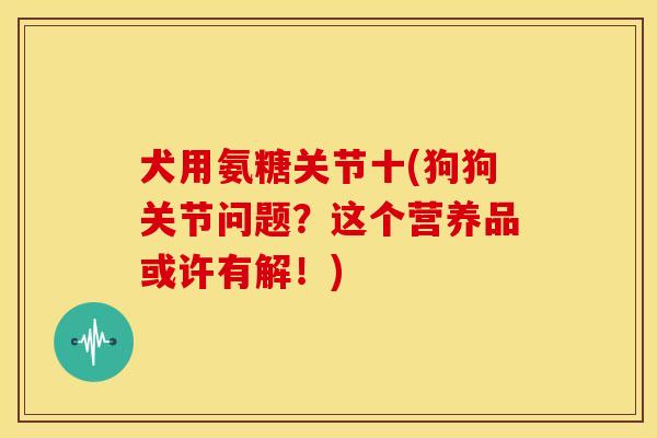犬用氨糖关节十(狗狗关节问题？这个营养品或许有解！)