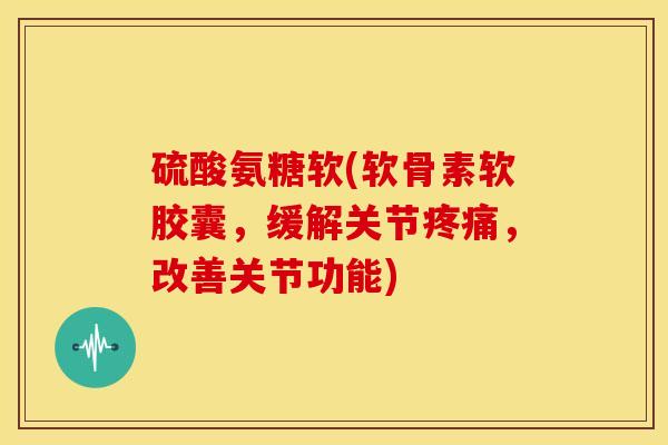 硫酸氨糖软(软骨素软胶囊,缓解关节,改善关节功能) 硫酸氨糖软(软骨素软胶囊,缓解关节,改善关节功能)