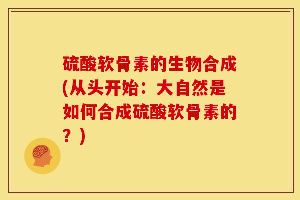 硫酸软骨素的生物合成(从头开始：大自然是如何合成硫酸软骨素的？)