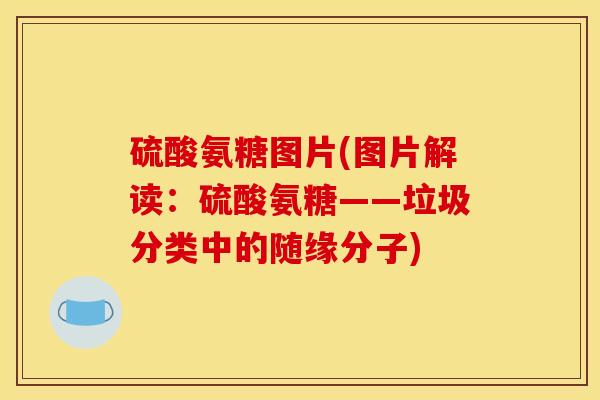 硫酸氨糖图片(图片解读:硫酸氨糖——垃圾分类中的随缘分子) 硫酸氨糖图片(图片解读:硫酸氨糖——垃圾分类中的随缘分子)