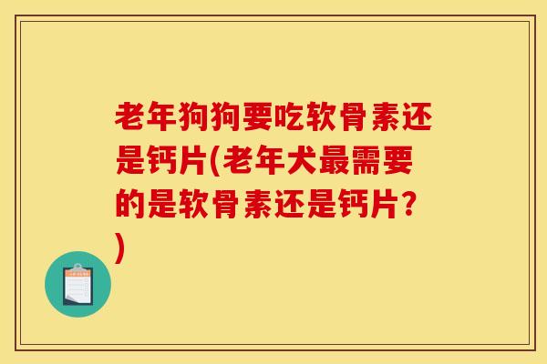 老年狗狗要吃软骨素还是钙片(老年犬需要的是软骨素还是钙片？)