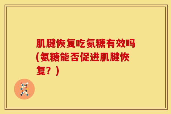 肌腱恢复吃氨糖有效吗(氨糖能否促进肌腱恢复?) 肌腱恢复吃氨糖有效吗(氨糖能否促进肌腱恢复?)