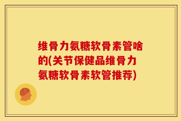 维骨力氨糖软骨素管啥的(关节保健品维骨力氨糖软骨素软管推荐)