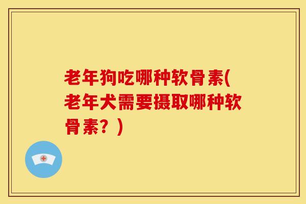 老年狗吃哪种软骨素(老年犬需要摄取哪种软骨素？)