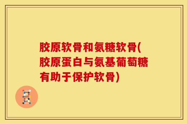 胶原软骨和氨糖软骨(胶原蛋白与氨基葡萄糖有助于保护软骨)