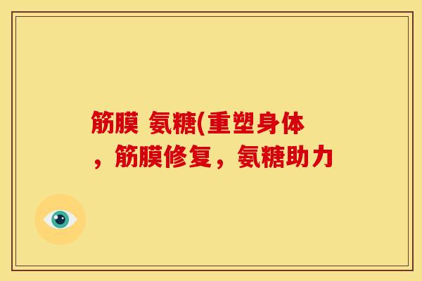 筋膜 氨糖(重塑身体,筋膜修复,氨糖助力 筋膜 氨糖(重塑身体,筋膜修复,氨糖助力