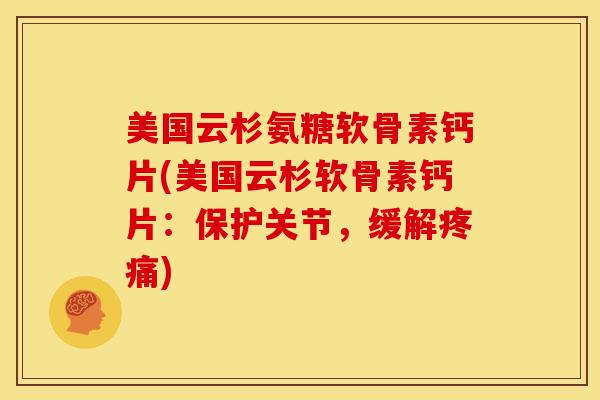 美国云杉氨糖软骨素钙片(美国云杉软骨素钙片:保护关节,缓解) 美国云杉氨糖软骨素钙片(美国云杉软骨素钙片:保护关节,缓解)