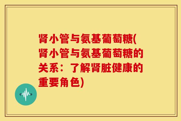 小管与氨基葡萄糖(小管与氨基葡萄糖的关系:了解脏健康的重要角色) 小管与氨基葡萄糖(小管与氨基葡萄糖的关系:了解脏健康的重要角色)