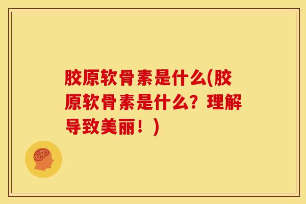 胶原软骨素是什么(胶原软骨素是什么？理解导致美丽！)