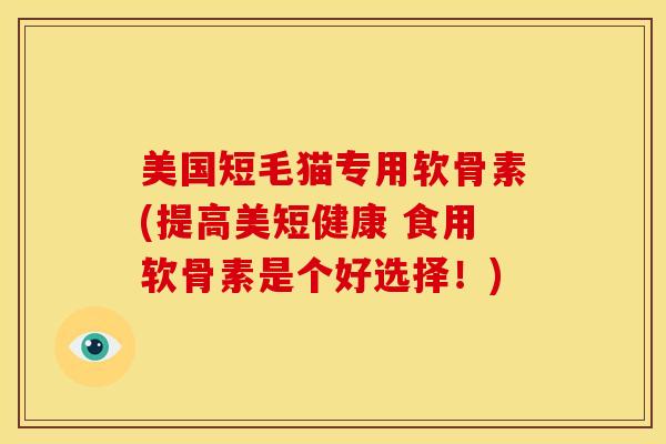 美国短毛猫专用软骨素(提高美短健康 食用软骨素是个好选择！)