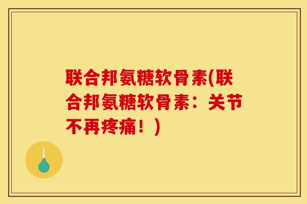 联合邦氨糖软骨素(联合邦氨糖软骨素：关节不再！)