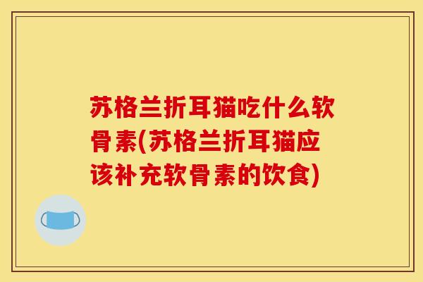 苏格兰折耳猫吃什么软骨素(苏格兰折耳猫应该补充软骨素的饮食) 苏格兰折耳猫吃什么软骨素(苏格兰折耳猫应该补充软骨素的饮食)