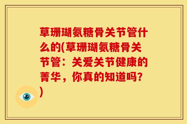 草珊瑚氨糖骨关节管什么的(草珊瑚氨糖骨关节管：关爱关节健康的菁华，你真的知道吗？)