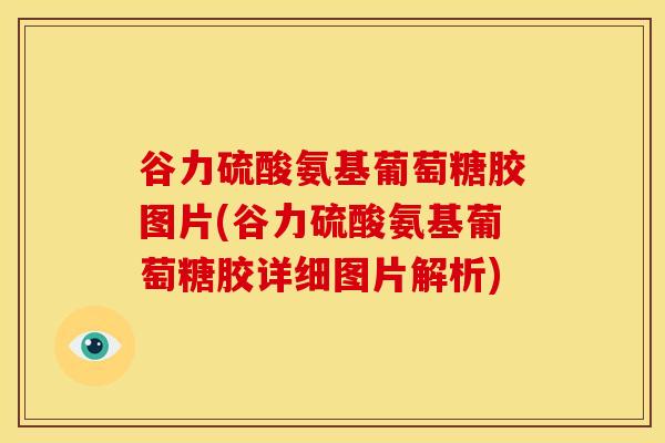 谷力硫酸氨基葡萄糖胶图片(谷力硫酸氨基葡萄糖胶详细图片解析) 谷力硫酸氨基葡萄糖胶图片(谷力硫酸氨基葡萄糖胶详细图片解析)