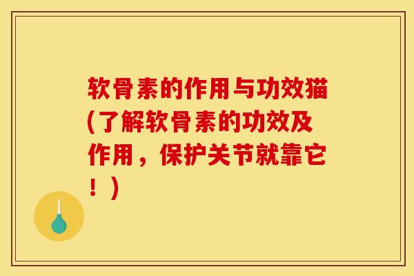 软骨素的作用与功效猫(了解软骨素的功效及作用，保护关节就靠它！)
