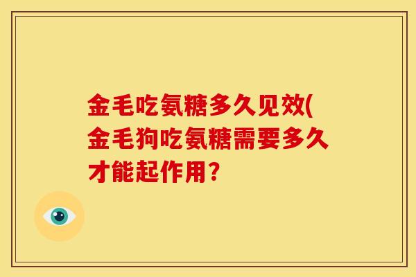 金毛吃氨糖多久见效(金毛狗吃氨糖需要多久才能起作用? 金毛吃氨糖多久见效(金毛狗吃氨糖需要多久才能起作用?