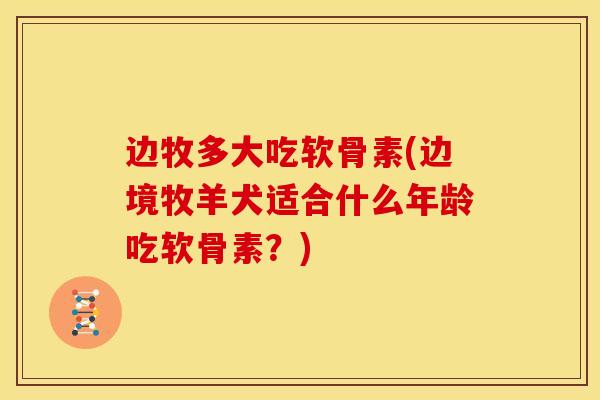 边牧多大吃软骨素(边境牧羊犬适合什么年龄吃软骨素?) 边牧多大吃软骨素(边境牧羊犬适合什么年龄吃软骨素?)