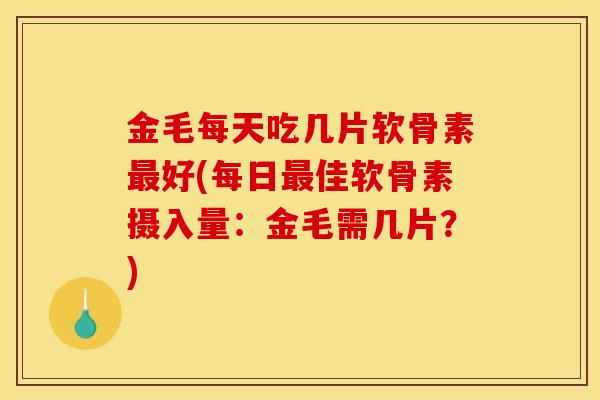 金毛每天吃几片软骨素好(每日佳软骨素摄入量:金毛需几片?) 金毛每天吃几片软骨素好(每日佳软骨素摄入量:金毛需几片?)