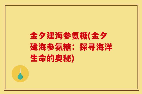 金夕建海参氨糖(金夕建海参氨糖：探寻海洋生命的奥秘)