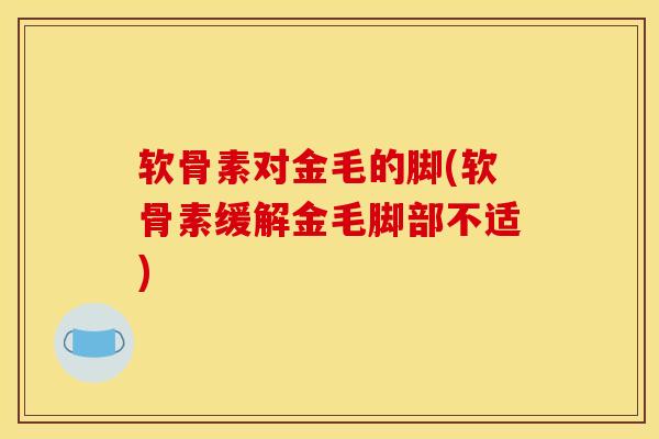 软骨素对金毛的脚(软骨素缓解金毛脚部不适)