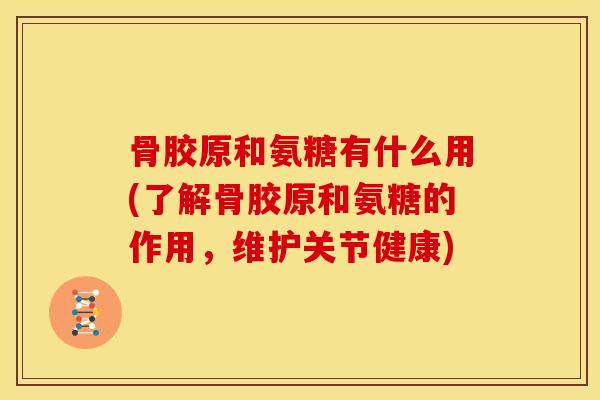 骨胶原和氨糖有什么用(了解骨胶原和氨糖的作用,维护关节健康) 骨胶原和氨糖有什么用(了解骨胶原和氨糖的作用,维护关节健康)