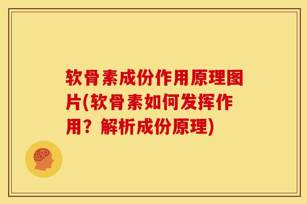 软骨素成份作用原理图片(软骨素如何发挥作用？解析成份原理)