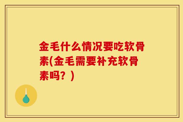金毛什么情况要吃软骨素(金毛需要补充软骨素吗?) 金毛什么情况要吃软骨素(金毛需要补充软骨素吗?)