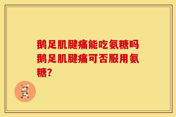 鹅足肌腱痛能吃氨糖吗鹅足肌腱痛可否服用氨糖? 鹅足肌腱痛能吃氨糖吗鹅足肌腱痛可否服用氨糖?