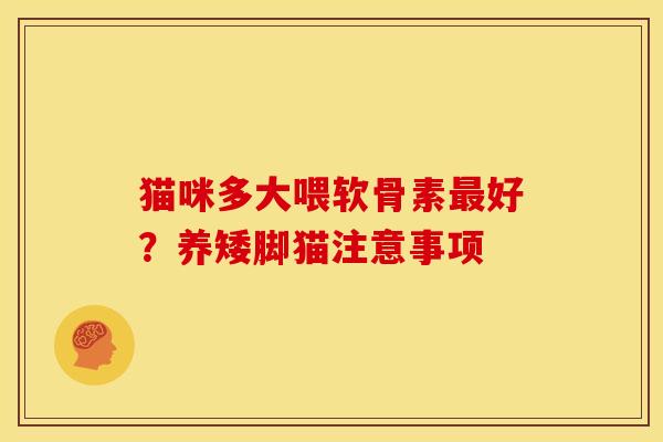 猫咪多大喂软骨素好?养矮脚猫注意事项 猫咪多大喂软骨素好?养矮脚猫注意事项