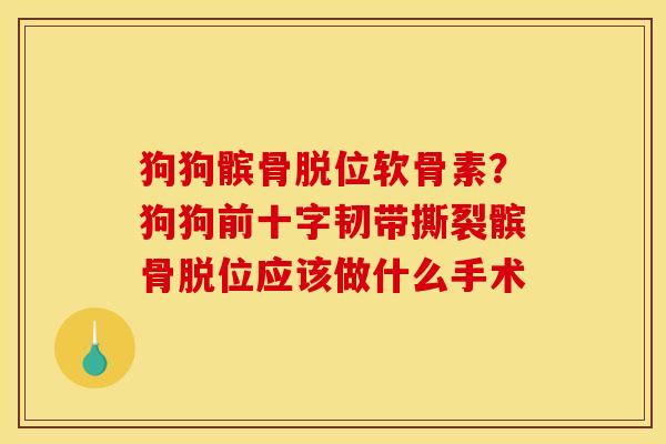 狗狗髌骨脱位软骨素？狗狗前十字韧带撕裂髌骨脱位应该做什么手术