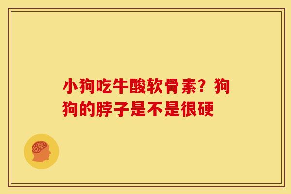 小狗吃牛酸软骨素？狗狗的脖子是不是很硬