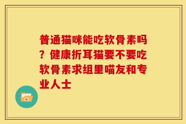 普通猫咪能吃软骨素吗？健康折耳猫要不要吃软骨素求组里喵友和专业人士