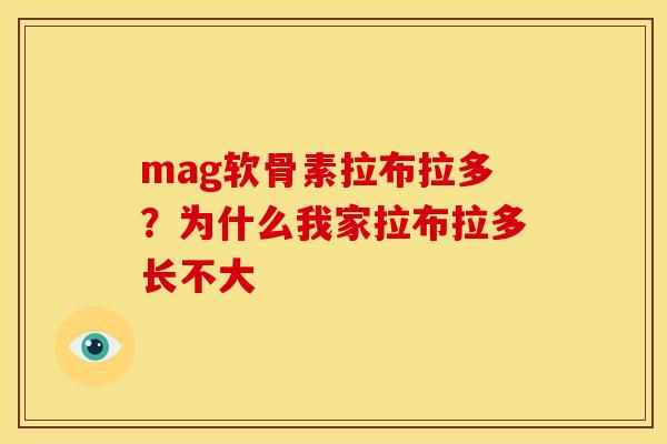 mag软骨素拉布拉多?为什么我家拉布拉多长不大 mag软骨素拉布拉多?为什么我家拉布拉多长不大