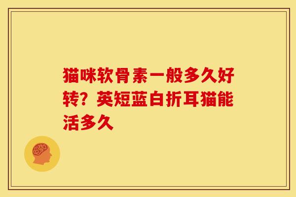 猫咪软骨素一般多久好转？英短蓝白折耳猫能活多久