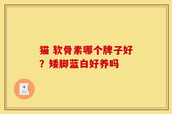猫 软骨素哪个牌子好?矮脚蓝白好养吗 猫 软骨素哪个牌子好?矮脚蓝白好养吗