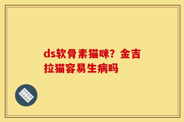 ds软骨素猫咪?金吉拉猫容易生吗 ds软骨素猫咪?金吉拉猫容易生吗