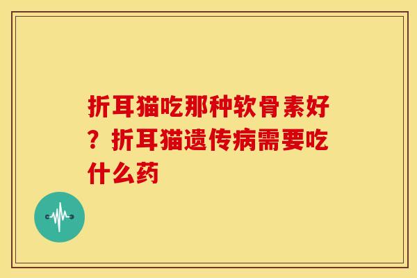 折耳猫吃那种软骨素好?折耳猫遗传需要吃什么药 折耳猫吃那种软骨素好?折耳猫遗传需要吃什么药