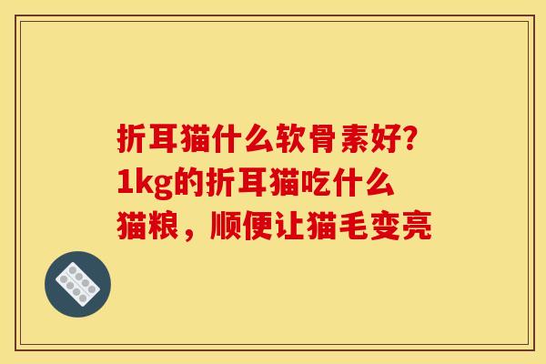 折耳猫什么软骨素好？1kg的折耳猫吃什么猫粮，顺便让猫毛变亮