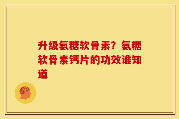 升级氨糖软骨素?氨糖软骨素钙片的功效谁知道 升级氨糖软骨素?氨糖软骨素钙片的功效谁知道