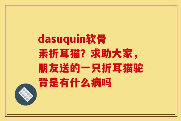 dasuquin软骨素折耳猫?求助大家,朋友送的一只折耳猫驼背是有什么吗 dasuquin软骨素折耳猫?求助大家,朋友送的一只折耳猫驼背是有什么吗