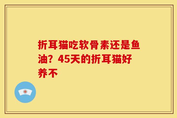 折耳猫吃软骨素还是鱼油?45天的折耳猫好养不 折耳猫吃软骨素还是鱼油?45天的折耳猫好养不