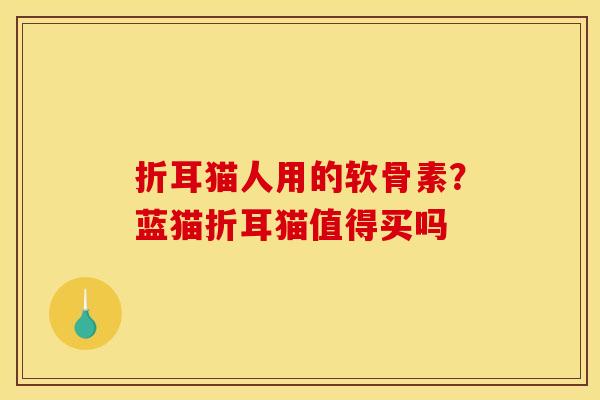 折耳猫人用的软骨素？蓝猫折耳猫值得买吗