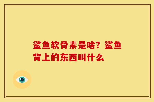 鲨鱼软骨素是啥？鲨鱼背上的东西叫什么