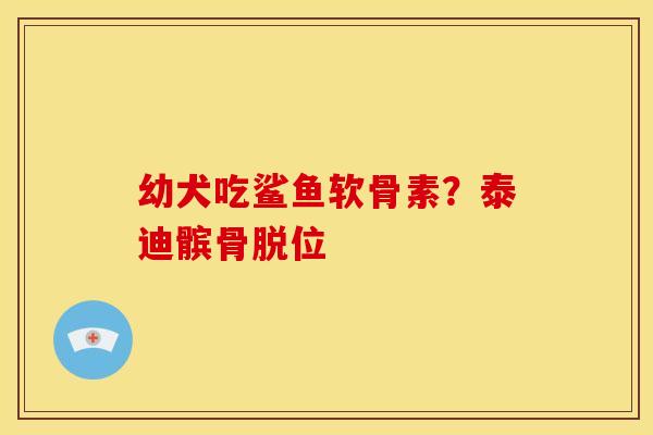 幼犬吃鲨鱼软骨素？泰迪髌骨脱位