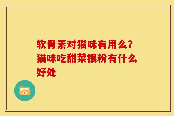 软骨素对猫咪有用么?猫咪吃甜菜根粉有什么好处 软骨素对猫咪有用么?猫咪吃甜菜根粉有什么好处